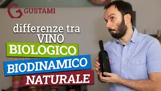 Differenze tra vino biologico, vino biodinamico e vino naturale