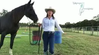 10 Ground Exercises Keeping It Interesting Figure 8 Barrels