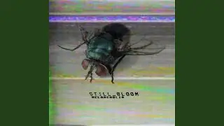 Scanner-01