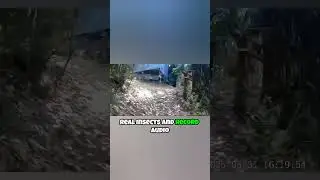 Микродроны уже здесь&hellip; и они меньше, чем вы думаете 🦟⚠️