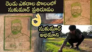 Pushpa Movie Director Sukumar Paddy Special Art by His Fan | Cinema Garage