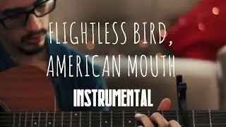 Flightless Bird, American Mouth - Instrumental