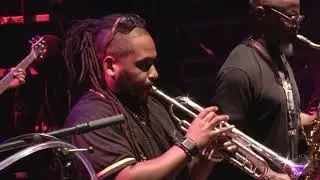 Karl Denson's Tiny Universe Performs at Healing Appalachia 2024!