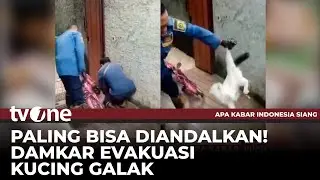 VIRAL! Dua Anggota Damkar Berusaha Menaklukan Kucing Galak | AKIS tvOne