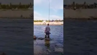Peshkim i ngjiles (skobal) nga burim istrefi ne lumin Iber Fishing on float for hotu