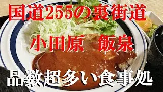 NEW 小田原ぶらり旅★国道２５５線沿いと裏街道で４件ハシゴしてベロベロ幸せ