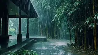 Night ASMR Heavy Rain Sounds on Terrace with Peaceful Green Bamboo Ambience for Deep Sleep 09