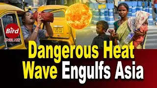 Record Heatwaves Grips Most Of Asia Disrupting Lives and Economy || Bird English ||