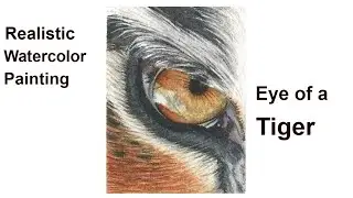How to Paint the Realistic Eye of a Tiger in Watercolor