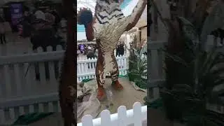 Amazing Lego Tiger at Saint Davids Centre, Cardiff 🐅💞🐾🐾#animal love#youtube