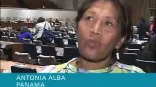 Indigenous Women at Beijing 10 Conference