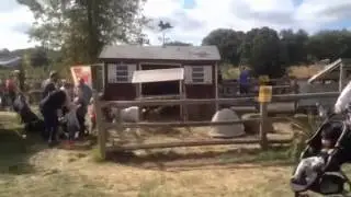 Pick your own Farm