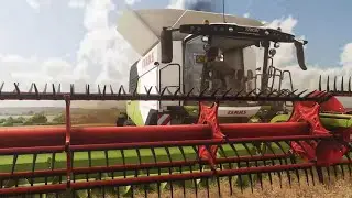 Canola Harvest in the UK | Calmsden Farm | FS22 Realistic Gameplay