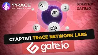 Стартап Trace Network Labs на Gate.io