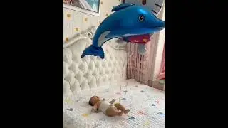 #balloon #shark #fun#cutebaby #shorts