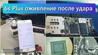 Ремонт iPhone 6s Plus нет сети, не работает поворот экрана. Не типичный случай. Отчет клиенту.