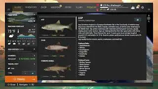 Fishing Planet Simulator (PS5)