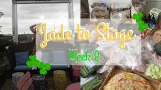 HEALTHY FOOD Haul & Visiting Dublin VLOG | Jade to Stage ep.8