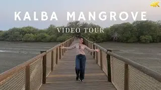 MANGROVE CENTRE | KHOR KALBA | Nature’s Paradise in the UAE