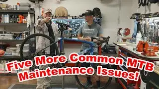 Unveiling the secrets of common MTB issues