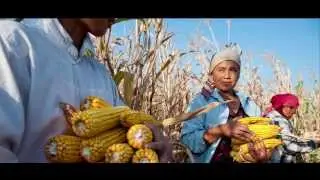 Launch of the International Year of Family Farming 2014