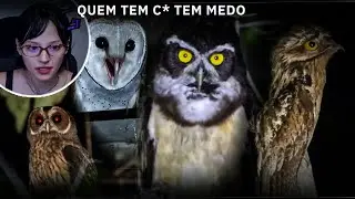 REACT: Os 15 CANTOS de AVES MAIS ASSUSTADORES do MUNDO! 