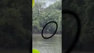 First-Ever Footage of the Jarawa Tribe: A Glimpse into the Ancient World