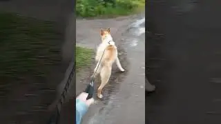 22 июня 2023 г.