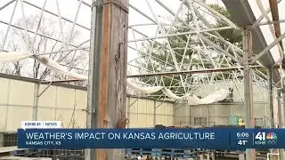 Community support helping rebuild KC Farm School