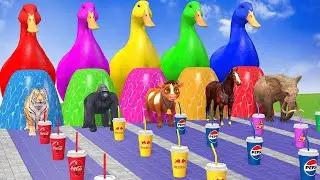 Long Slide Game with Cow Elephant Gorilla Hippopotamus Tiger 3d Animal Game Funny 3d Animals