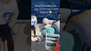 The Jamaica Catch of the Century! #shorts