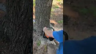 Is the Stihl MS500i the BEST Chainsaw on the market? 🧐
