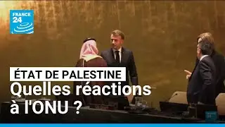 La France reconna&icirc;t officiellement l'&Eacute;tat de Palestine : les r&eacute;actions &bull; FRANCE 24
