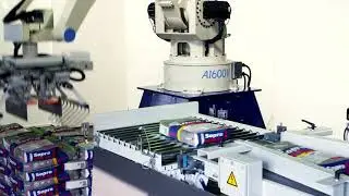 Palletizing robots for high-performance applications
