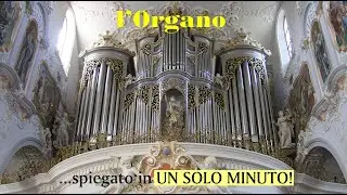L'Organo ...spiegato in UN SOLO MINUTO!