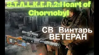 Химера  VS Ветеран СВ Винтарь Обычный Патрон 9х39 мм S.T.A.L.K.E.R.2:Heart of Chornobyl