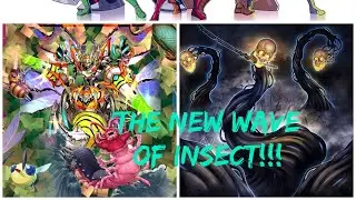 Inzektor beetrooper ragnaraika best deck build take on any ecosystem! 👏🏻 #yugioh #deck #win #fyp