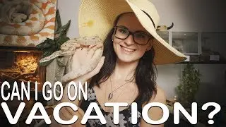 CAN I GO ON VACATION? (While having a snake at home)