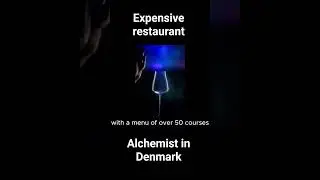 expensive restaurant in Denmark #alchemist #viral #shorts #trending