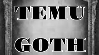 TEMU HAUL GOTHIC STYLE ITEMS 