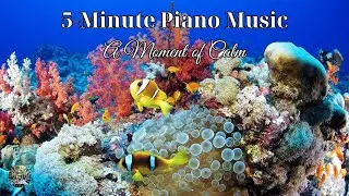 5 Minute Relaxing Piano Music with Coral Serenity - A Moment of Calm
