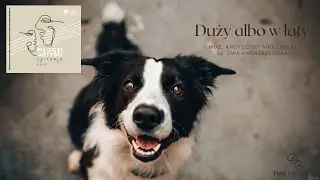&ldquo;Duży albo w łaty&rdquo; śpiewa: Pola Płowiak, muz. Krzysztof Mroziński, sł. Ewa Andrzejewska