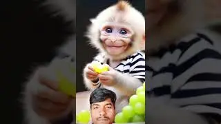 manque #shortvideo #youtube channel#viral#video