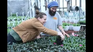 PittMoss A revolutionary growing media