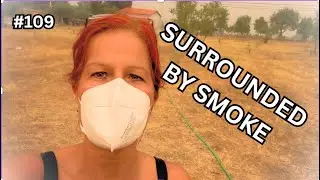 Fires around our Off Grid homestead in Portugal #109
