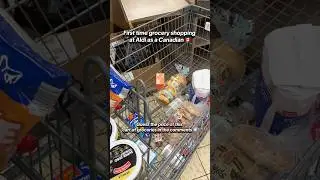 Guess how much this Aldi grocery cart cost 👀🛒💸 #AldiFinds #groceryhaul