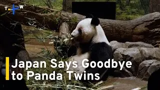 Japan’s Last Panda Twins To Return to China Amid Growing Tensions｜TaiwanPlus News
