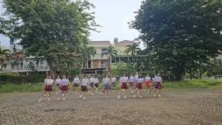 Pentatonix Havana Cha - Line Dance || Demo by Ladies Dance