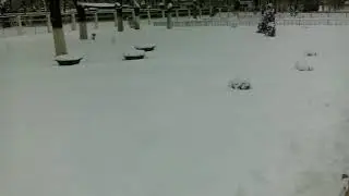 Vegard and his first winter