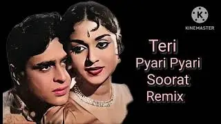 Teri Pyari Pyari Surat Remix Dj Sanjeev